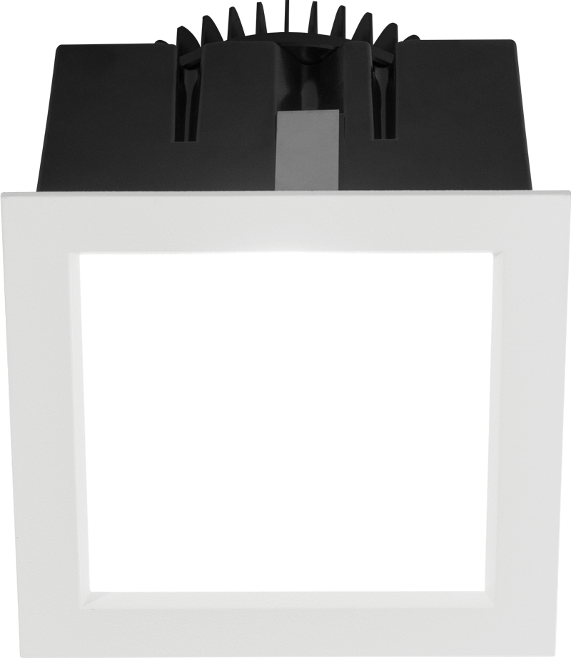 Flush Lens with White Trim